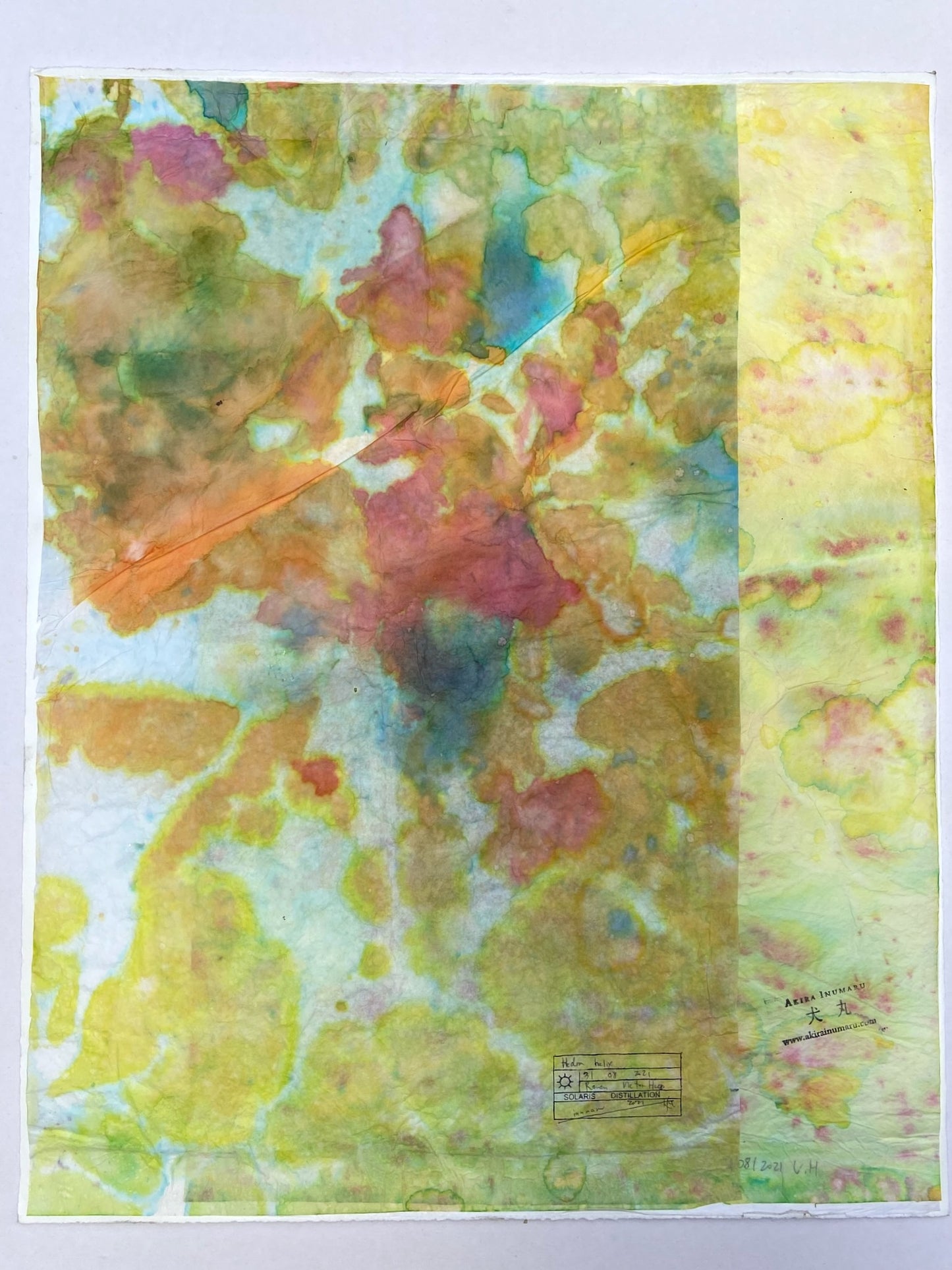 Oeuvre originale de Akira Inumaru | Arc-en-ciel des Plantes, Hedra Helix