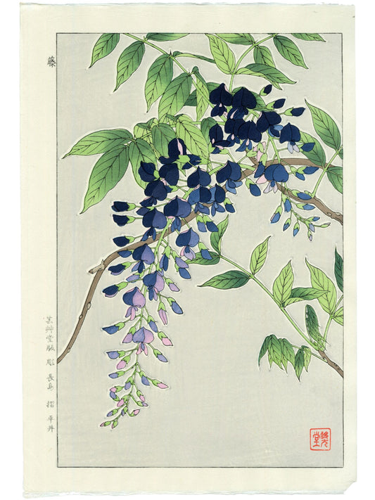 Estampe Japonaise de Kawarazaki Shodo Glycine bleue en fleurs