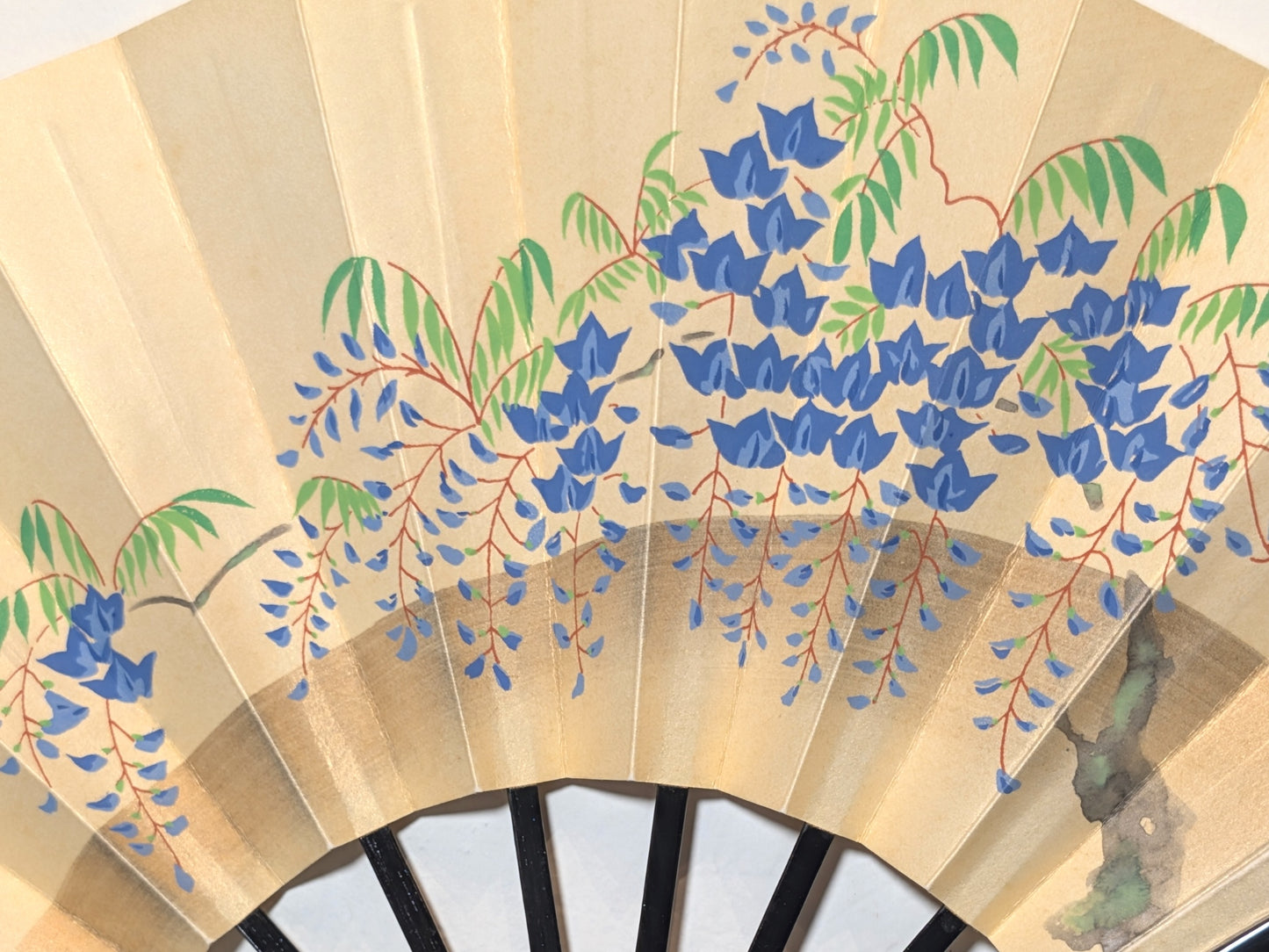 Eventail traditionnel japonais de théâtre kabuki en papier washi écru micacé avec peinture d'une branche de glycine, fleurs bleues feuilles vertes. Gros plan sur les fleurs et branchage