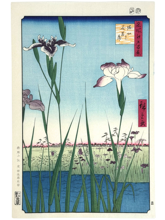 Estampe Japonaise d’Utagawa Hiroshige représentant deux grands iris au premier plan et un vaste jardin fleuri en arrière-plan.