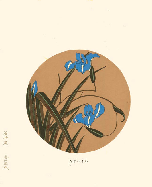 Estampe Japonaise d'une iris bleu dans un rond
