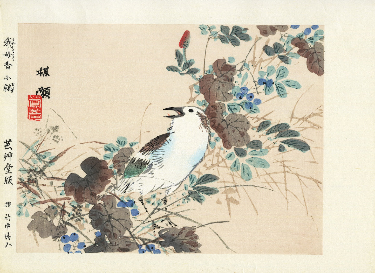 Estampe Japonaise de Kōno Bairei représentant un étourneau parmi des herbes et baies
