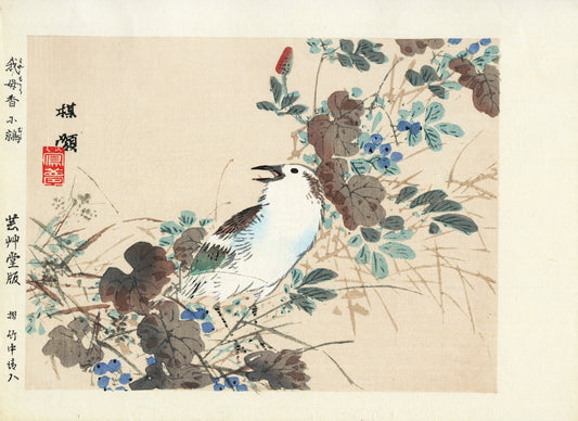 Estampe Japonaise de Kōno Bairei représentant un étourneau parmi des herbes et baies