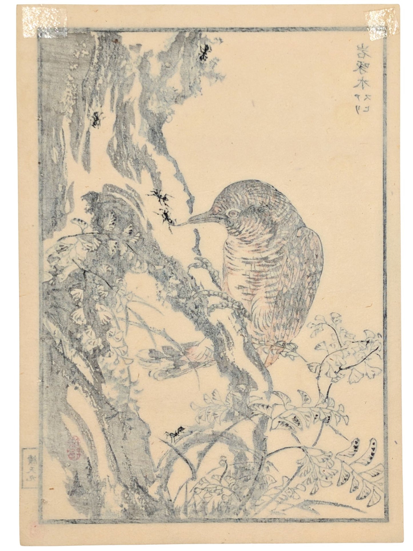 Estampe japonaise d’un torcol fourmilier de Kono Bairei extrait de l’album Hyakuchō Gafu verso