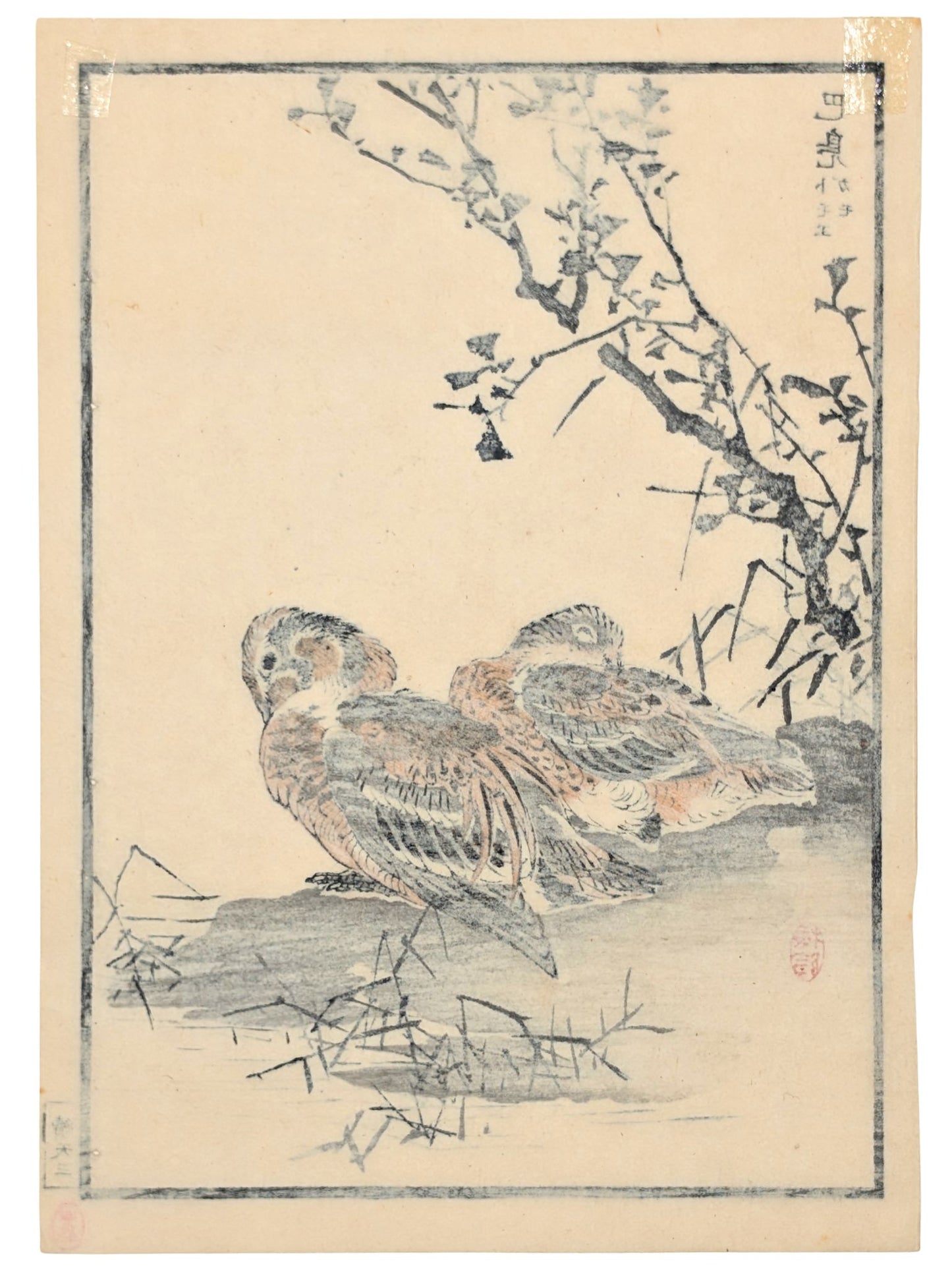 Estampe japonaise de deux canards sarcelles endormis sur une berge, par Kōno Bairei verso