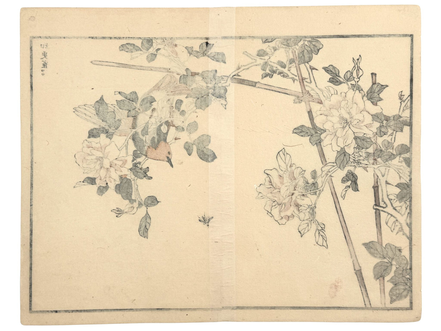 Estampe japonaise de Kono Bairei montrant un rossignol rouge akahigé sur une rose trémière verso