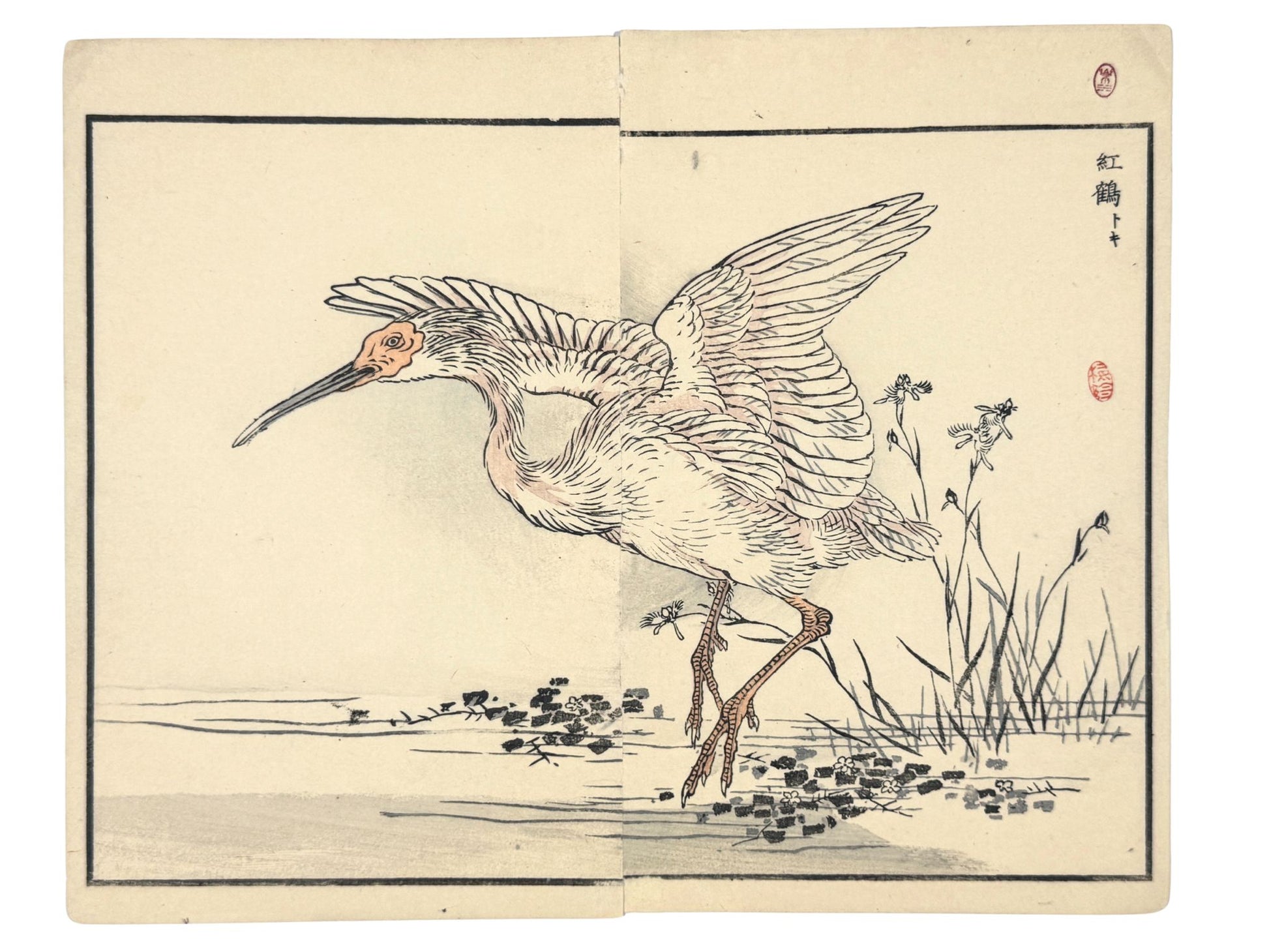 Estampe japonaise de Kono Bairei ibis nippon ailes déployées