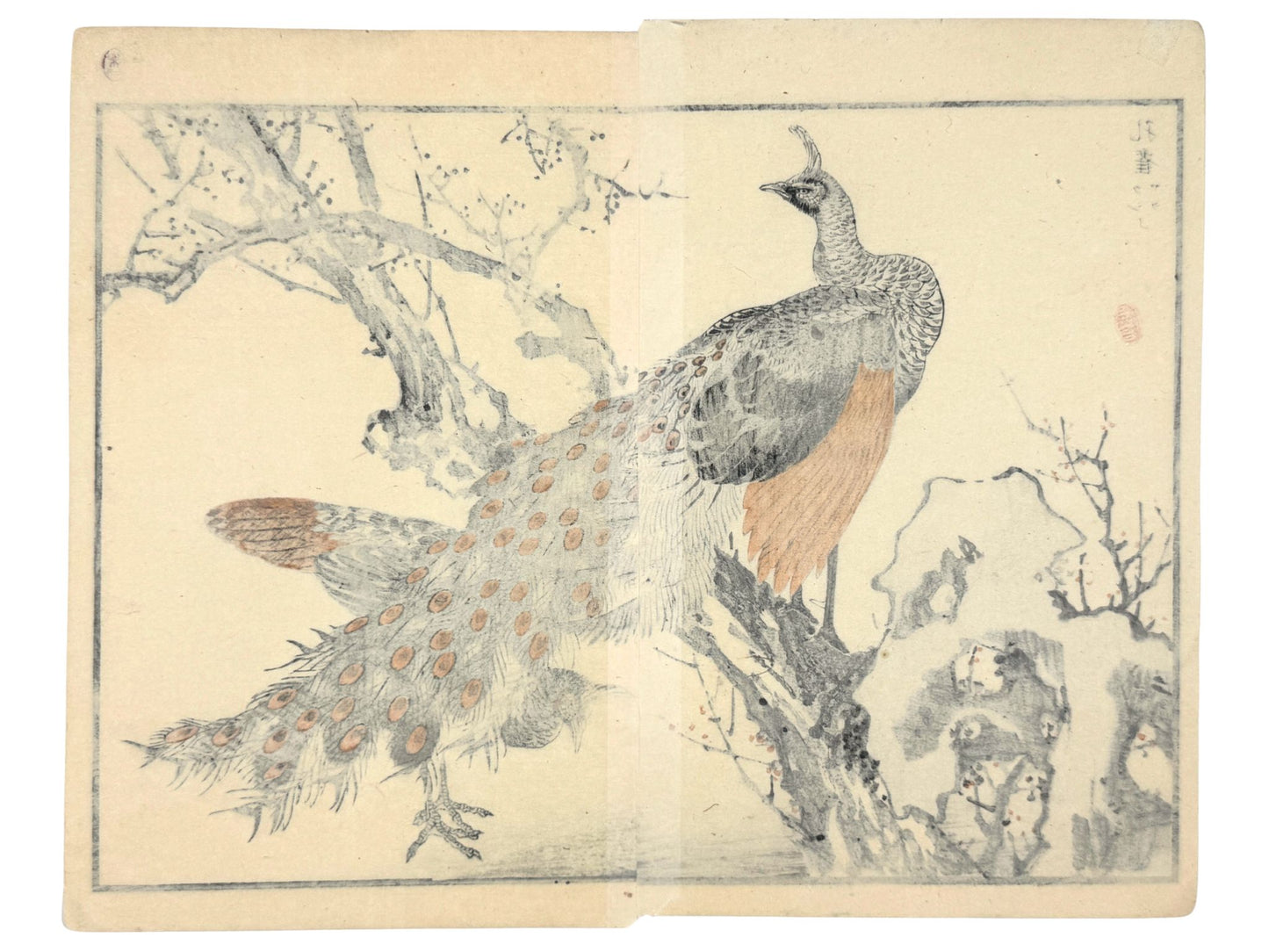 Estampe japonaise Bairei couple de pâon perchés en hiver, le verso
