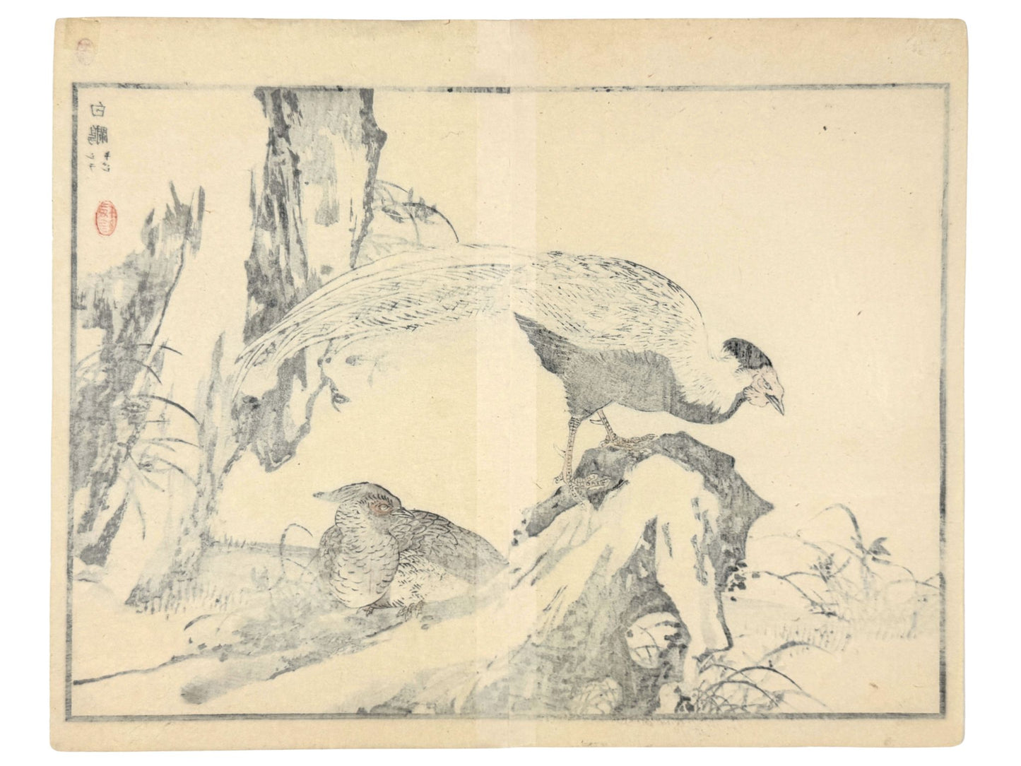 Estampe Japonaise de Kono Bairei représentant un couple de faisans argentés sur des branches noueuses verso
