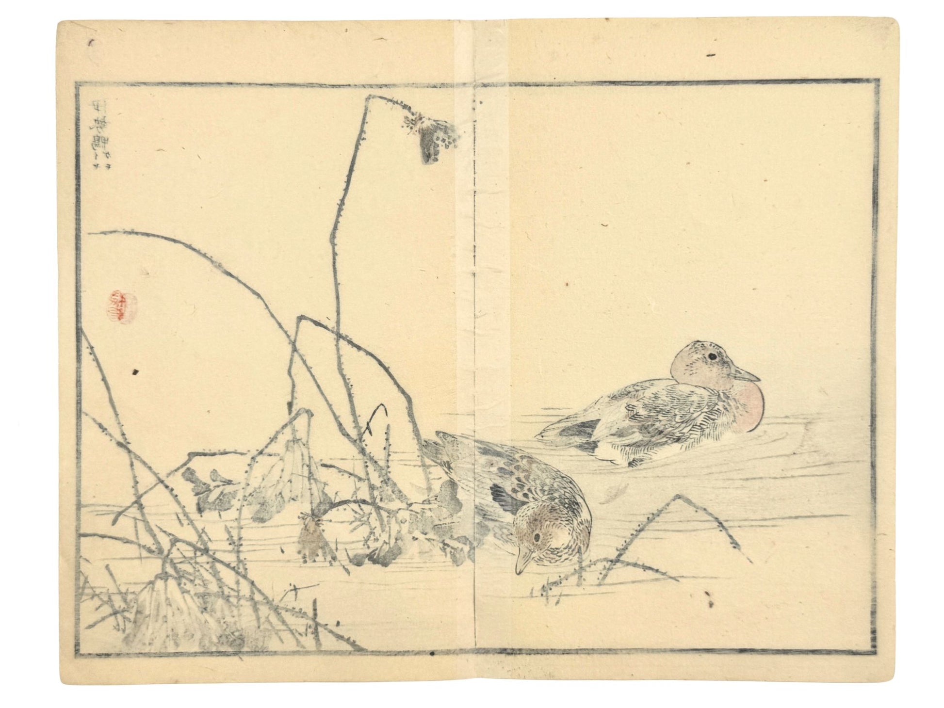 Estampe japonaise de Kono Bairei, deux canards d’Ise dans l’eau et lotus verso