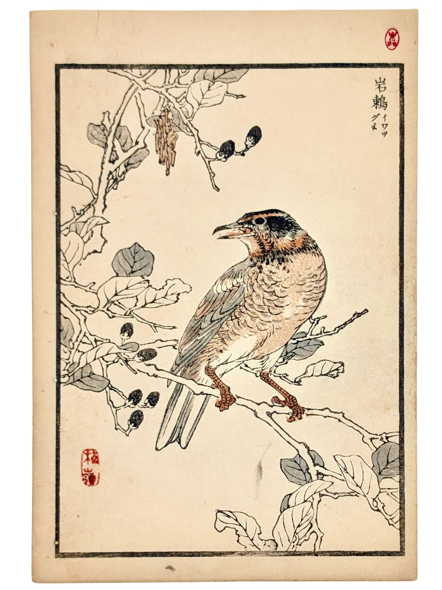 Estampe japonaise d’une grive perchée sur un mûrier par Kōno Bairei