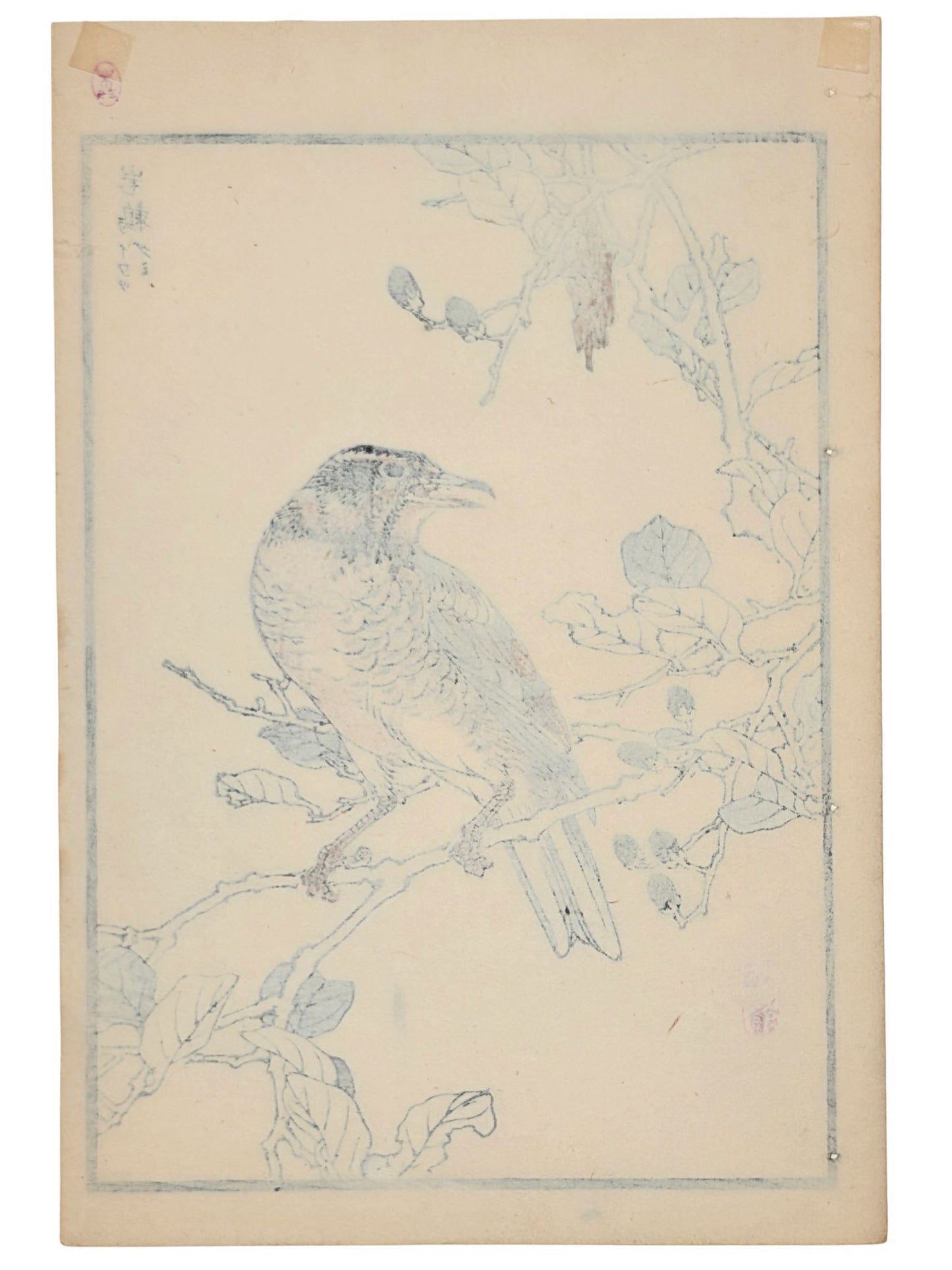 Estampe japonaise d’une grive perchée sur un mûrier par Kōno Bairei verso