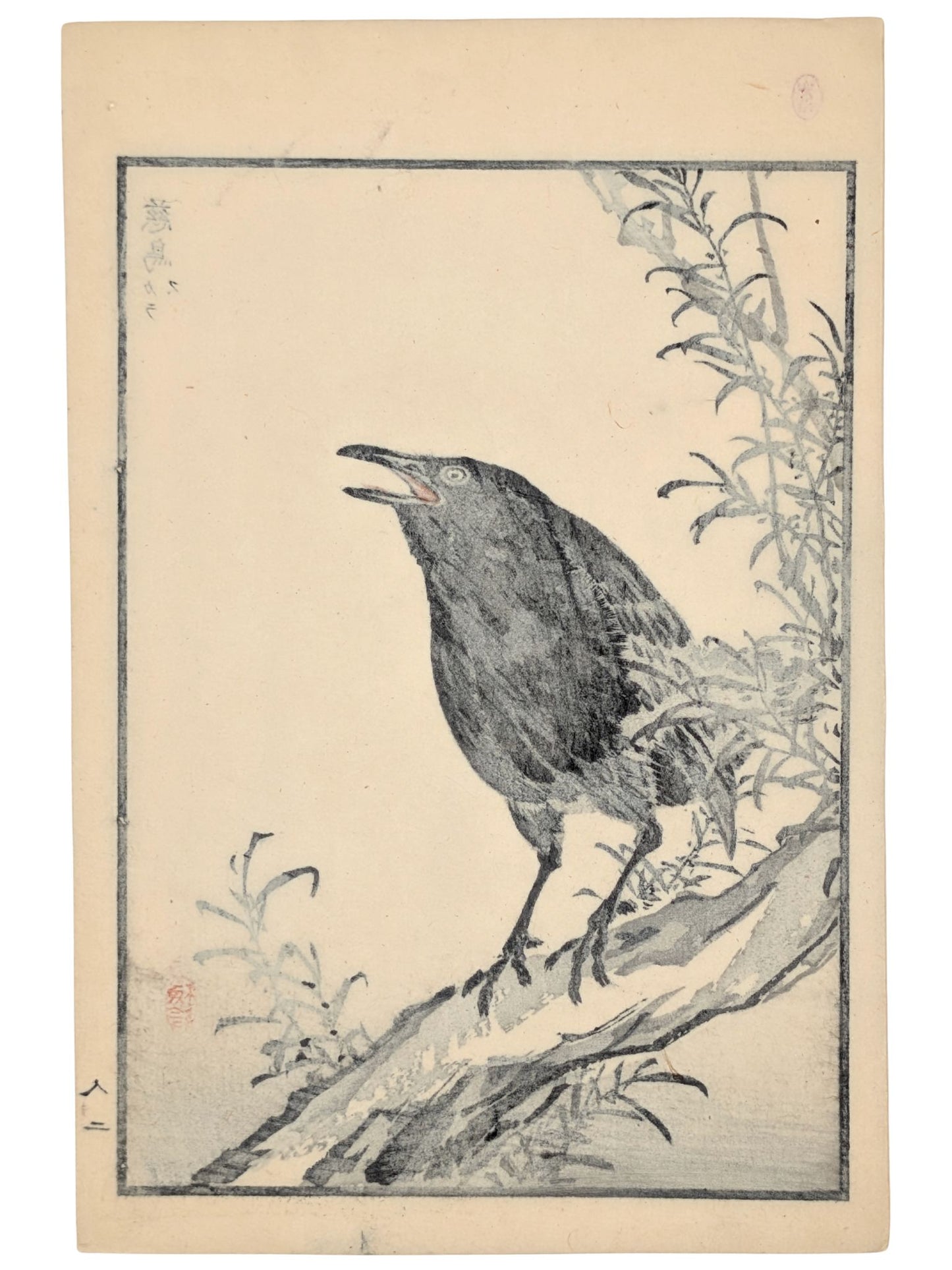 Estampe japonaise de Kono Bairei d'un choucas noir le bec ouvert sur branche verso