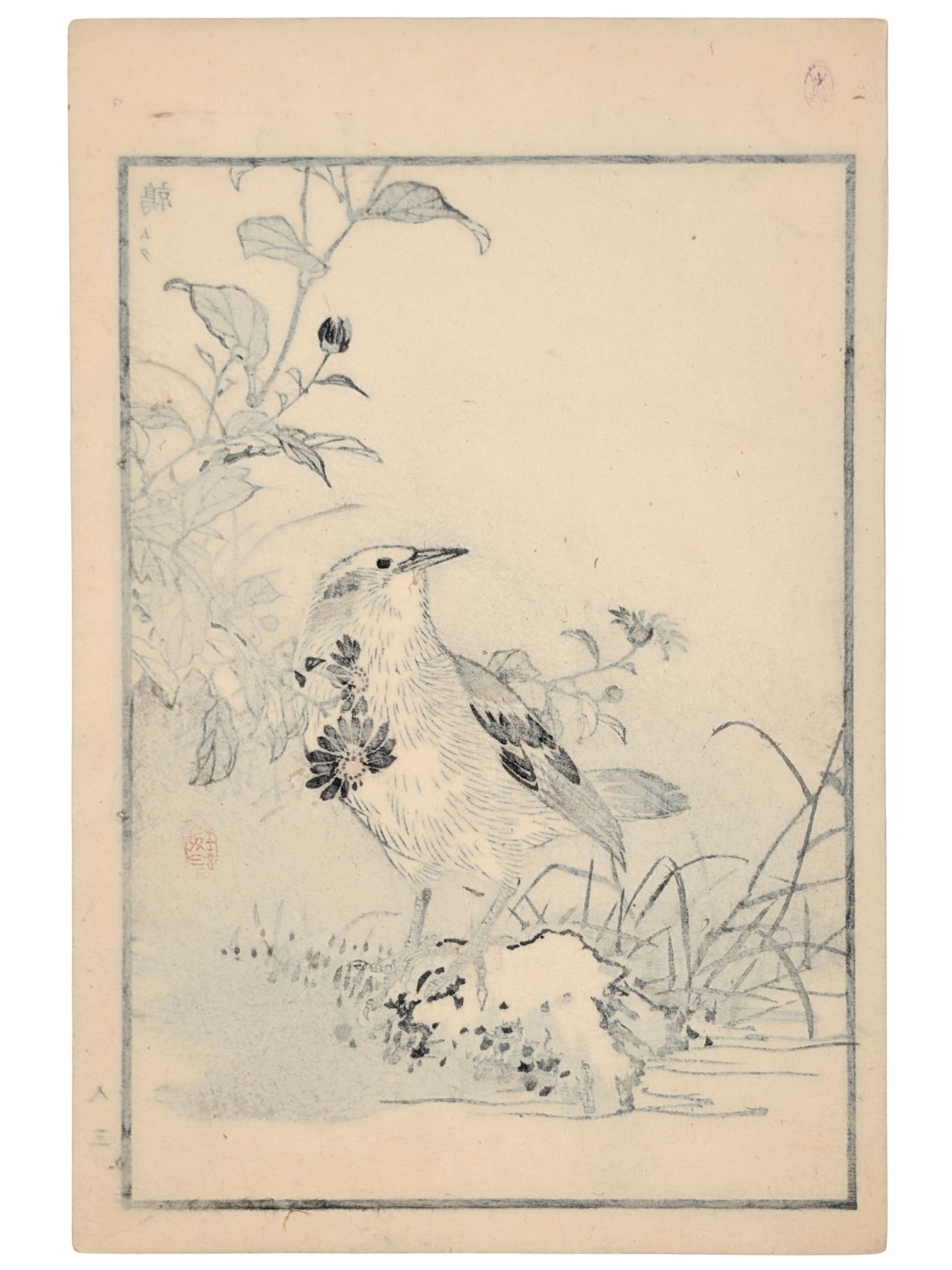 Estampe japonaise de Kono Bairei d'un étourneau gris au bord de l’eau avec fleurs verso
