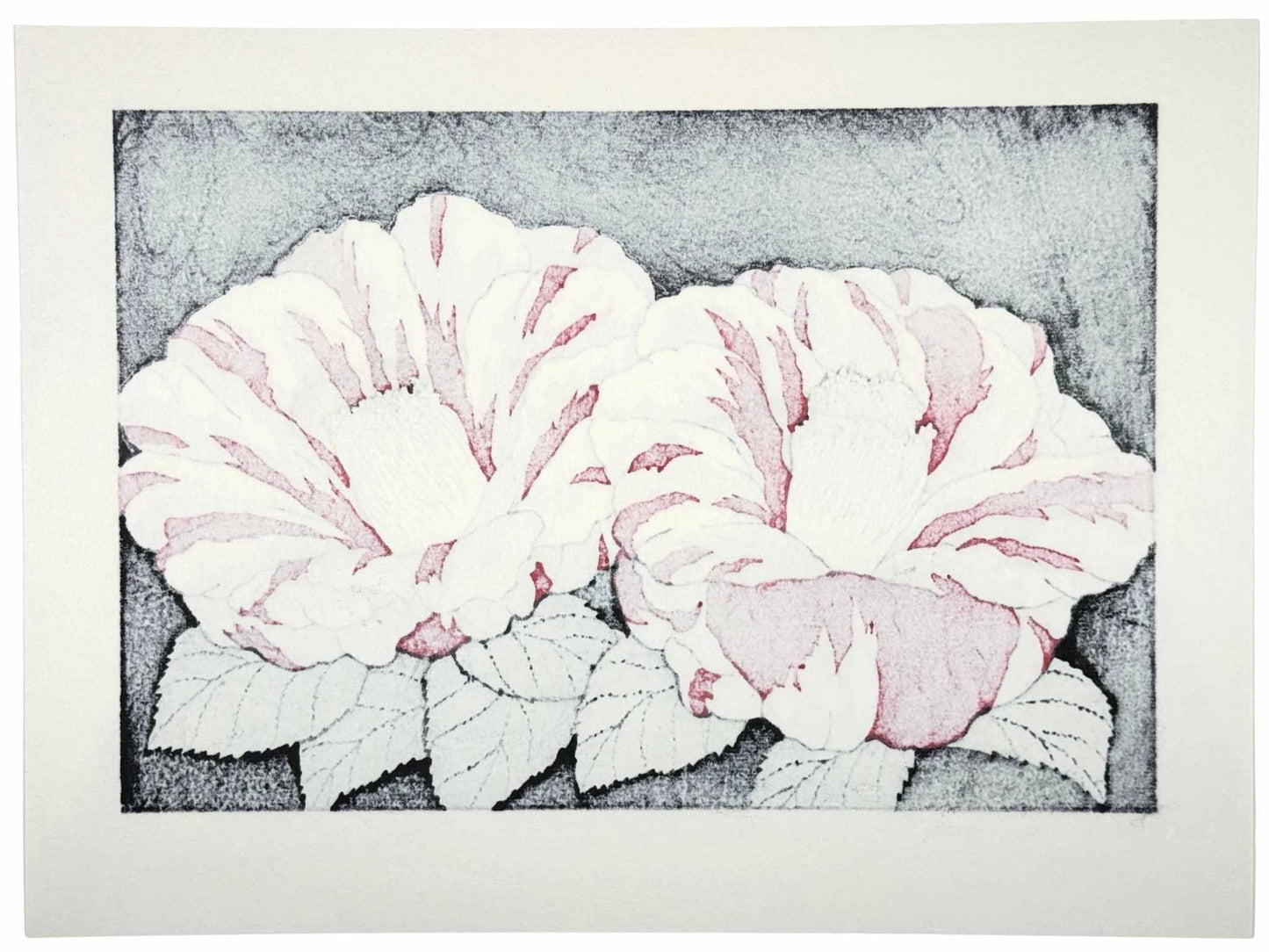Estampe Japonaise de Kinoshita Taika représentant des camélias Ezo-nishiki rayés rouges et blancs sur fond noir intitulée Here Comes The Sun, le verso