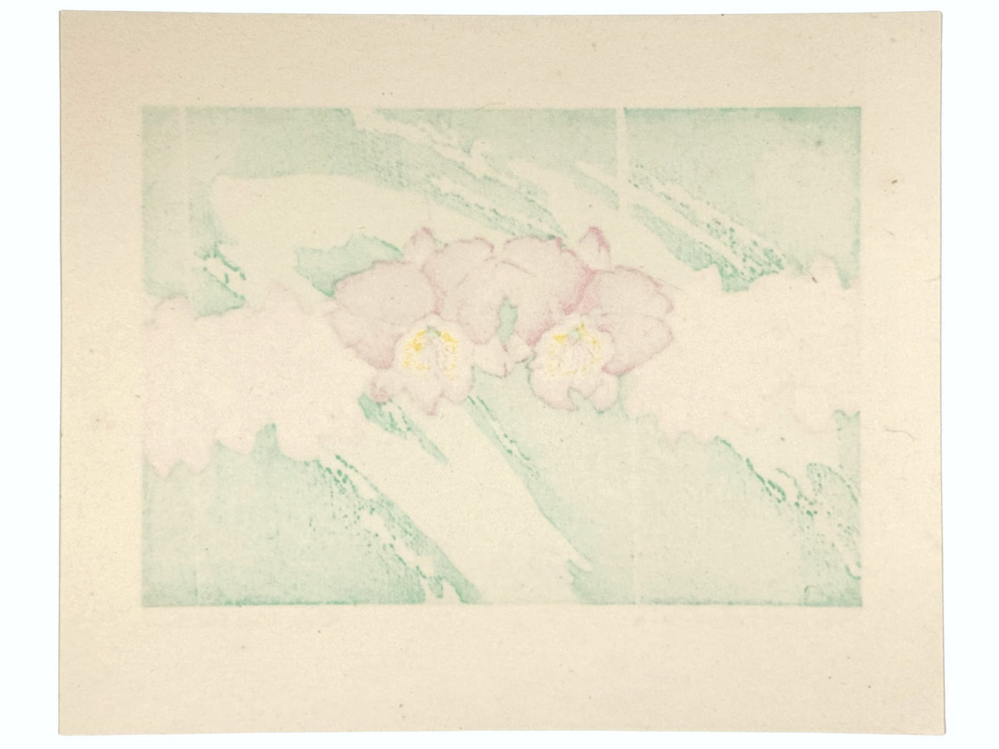 Estampe Japonaise de Kinoshita Taika représentant deux orchidées cattleya roses sur fond vert d'eau, le verso