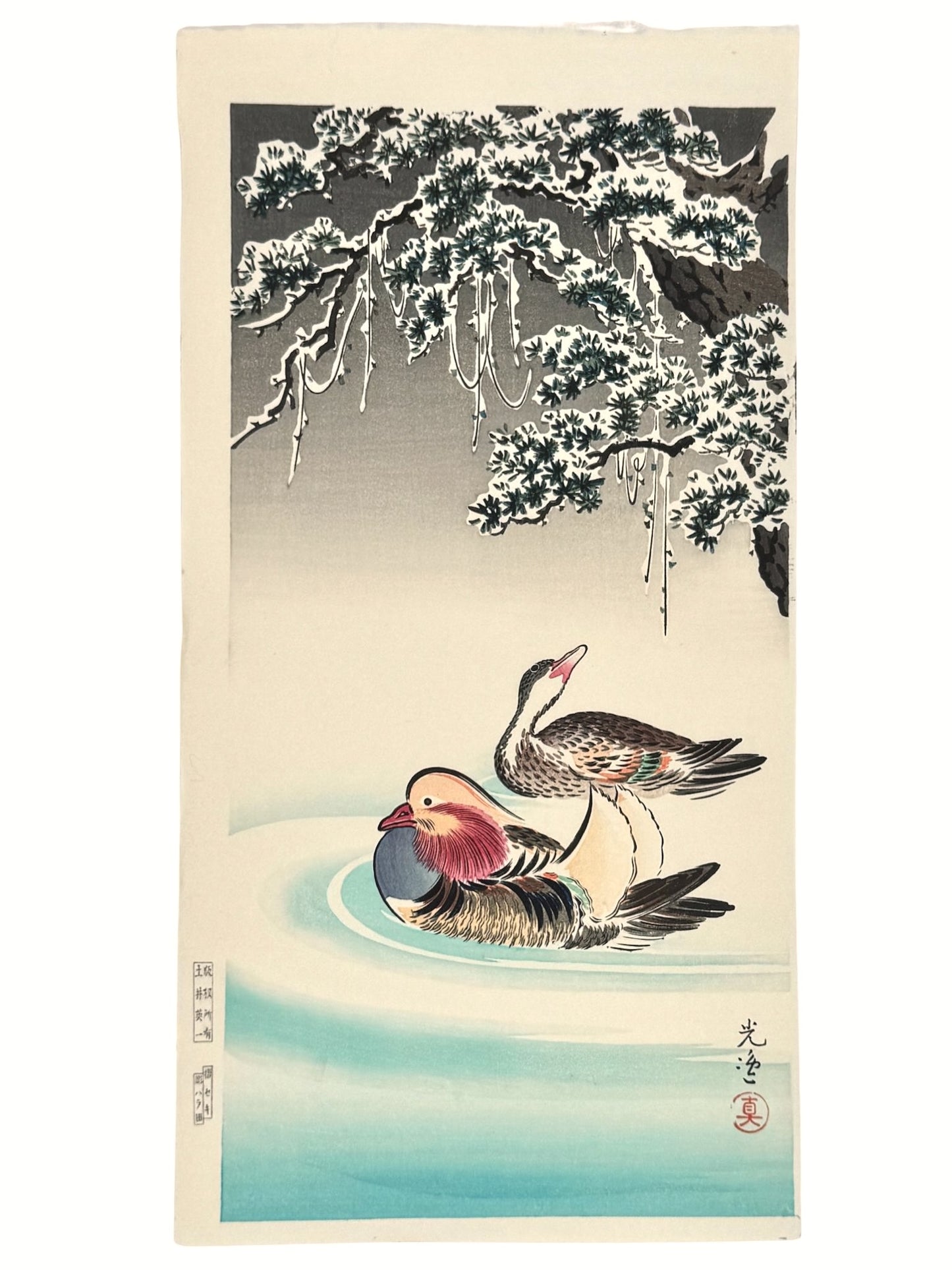 estampe japonaise de Koitsu, couple de canards mandarin nageant sous des pins couvert de neige