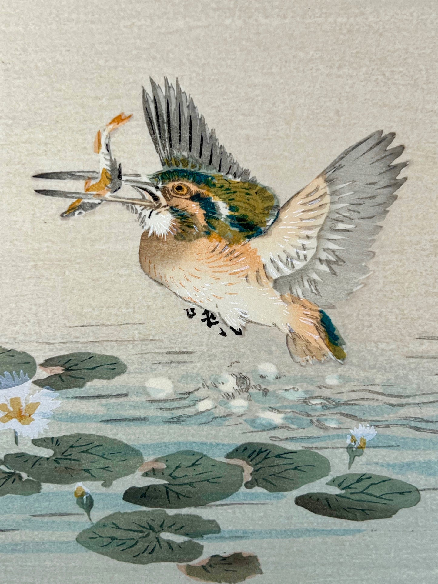 estampe japonaise oiseau martin-pêcheur avec poisson dans bec, gros plan sur l'oiseau