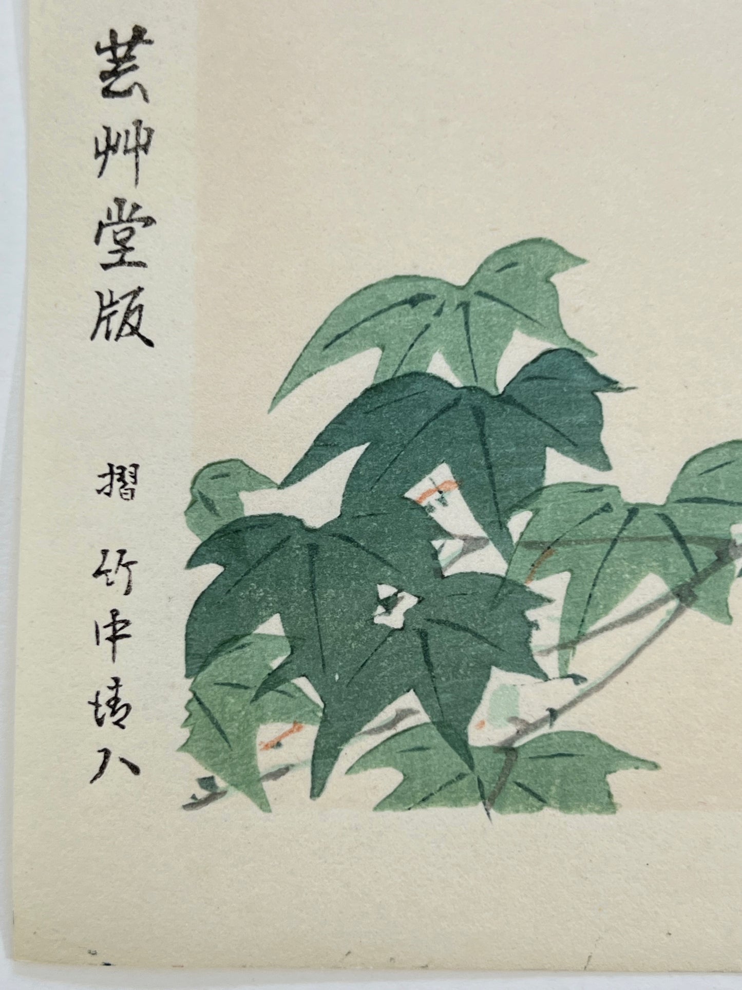 estampe japonaise oiseau sur une branche d'érable vert, calligraphie japonaise