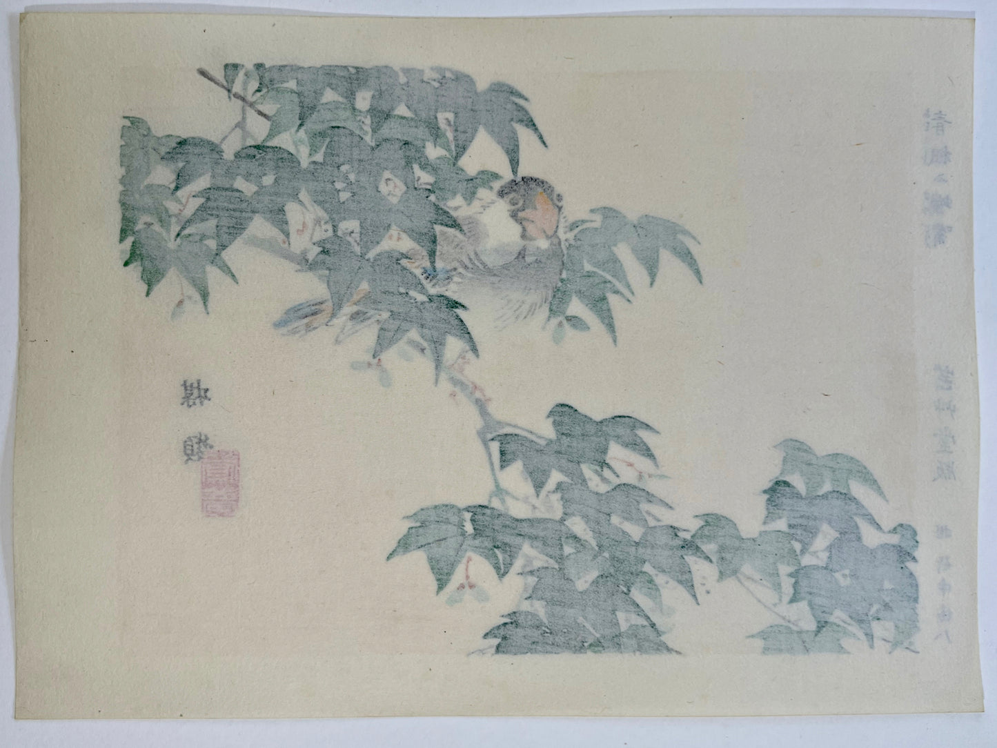 estampe japonaise oiseau sur une branche d'érable vert, le dos de l'estampe