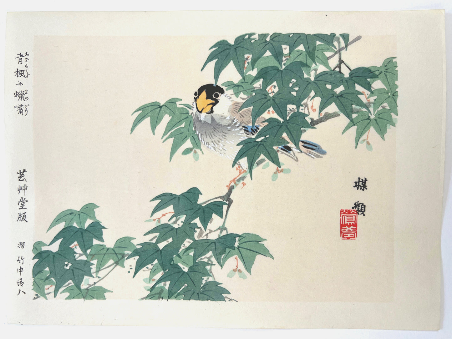 estampe japonaise de Kono Bairei oiseau sur une branche d'érable aux feuilles vertes