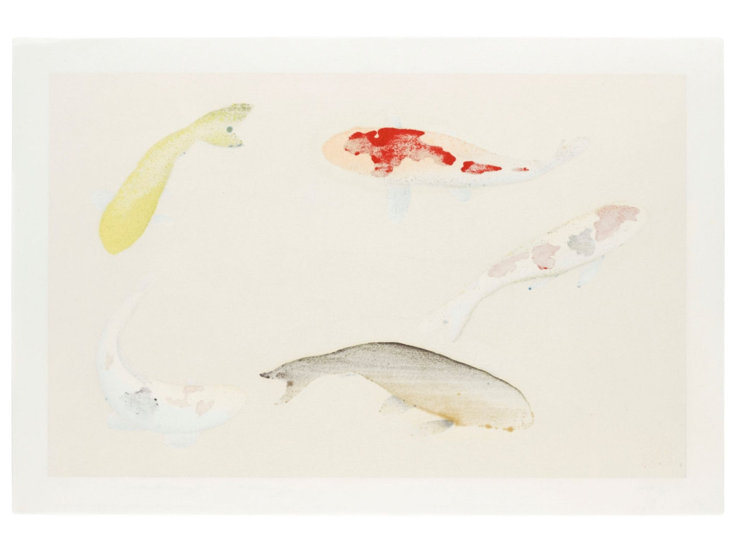estampe japonaise de Kunio Kaneko, cinq carpes Koi nageant en cercle sur fond or et argent, le verso de l'estampe