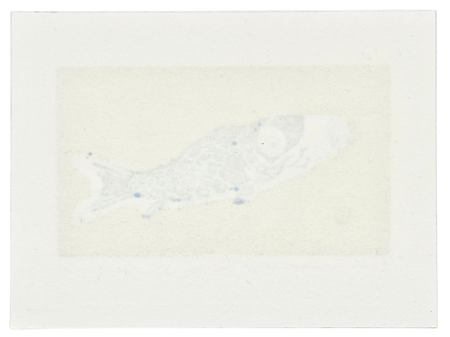 estampe japonaise de Kunio Kaneko, koinobori en forme de carpe bleu sur fond or et argent, le verso