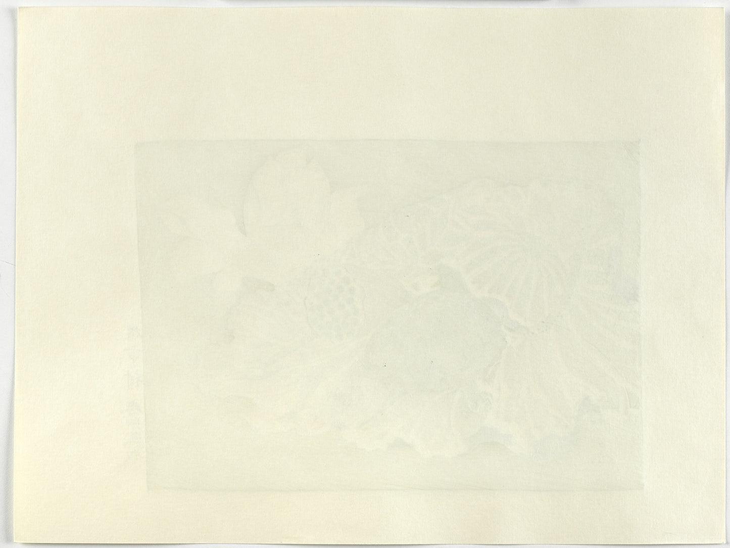 estampe japonaise de Kyosai, tortue sur un lotus, verso de l'estampe