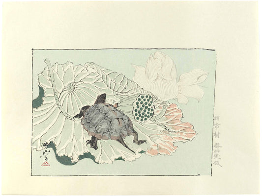 estampe japonaise de Kyosai, tortue sur un lotus