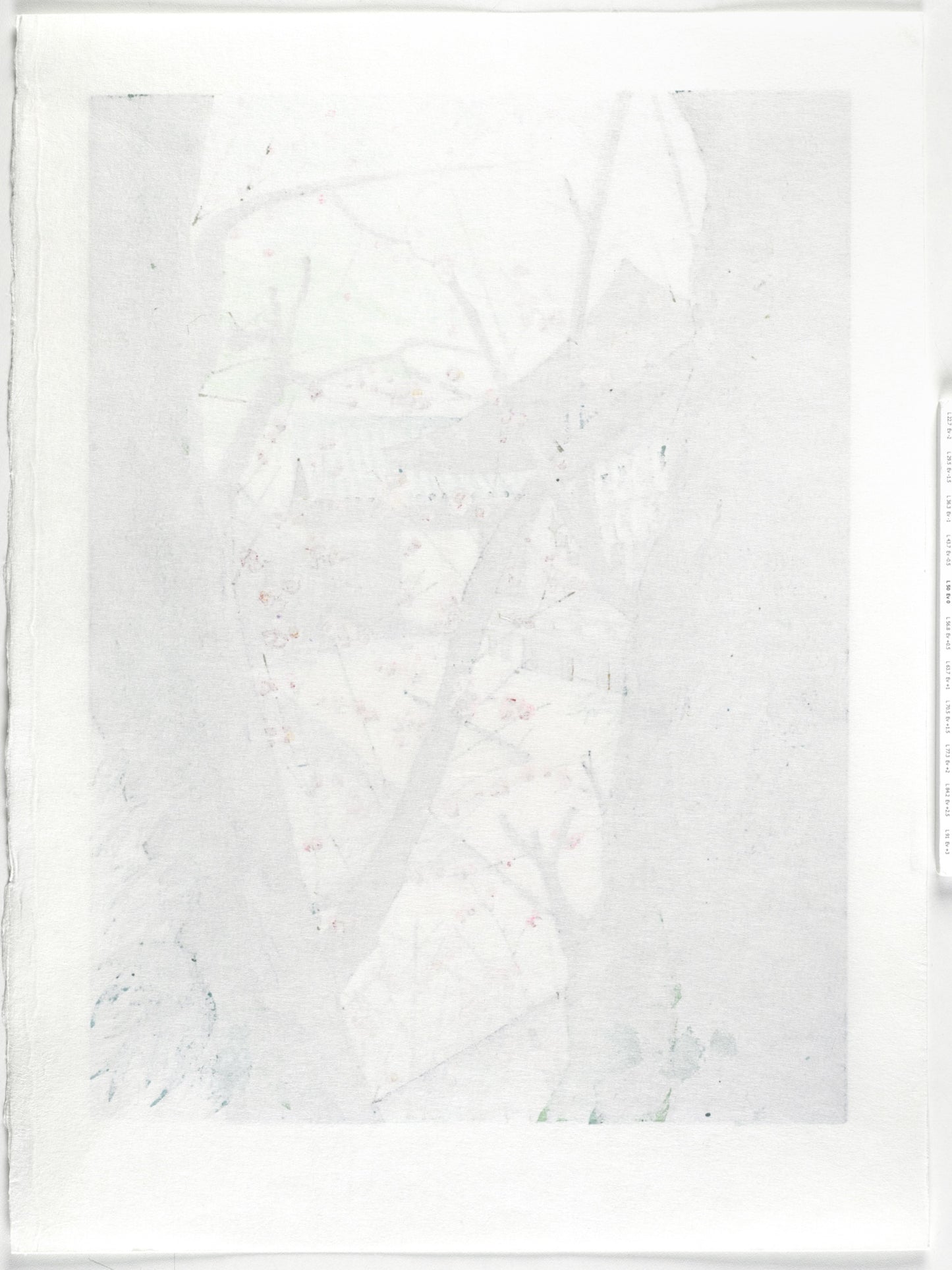 estampe japonaise de mibugawa junichi cerisier en fleur dos de l'estampe