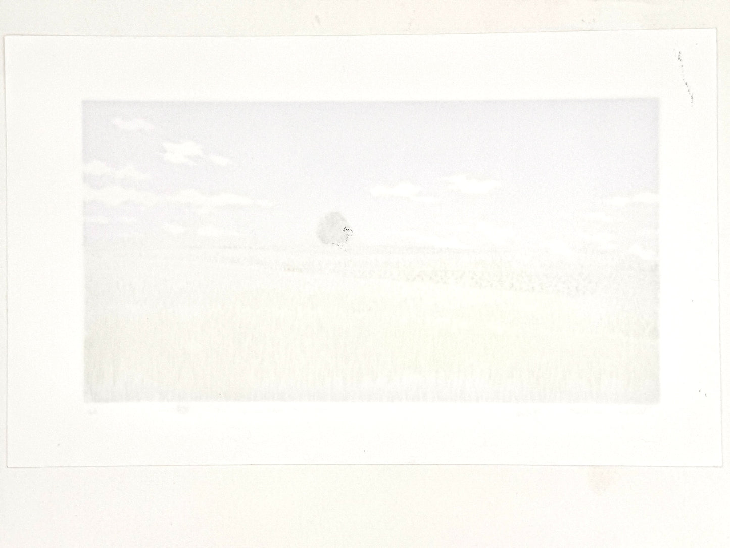 estampe japonaise contemporaine de paysage, chmps de blé, arbre et fond argent, dos de l'estampe