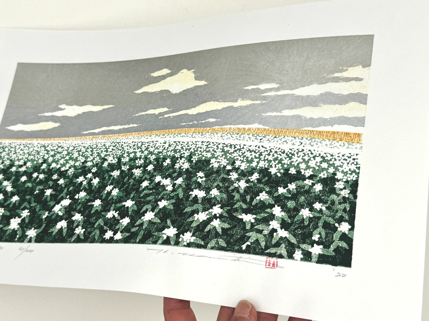 estampe japonaise contemporaine de paysage, champs de pommes de terre en fleur et ciel argenté, reflet de l'argent