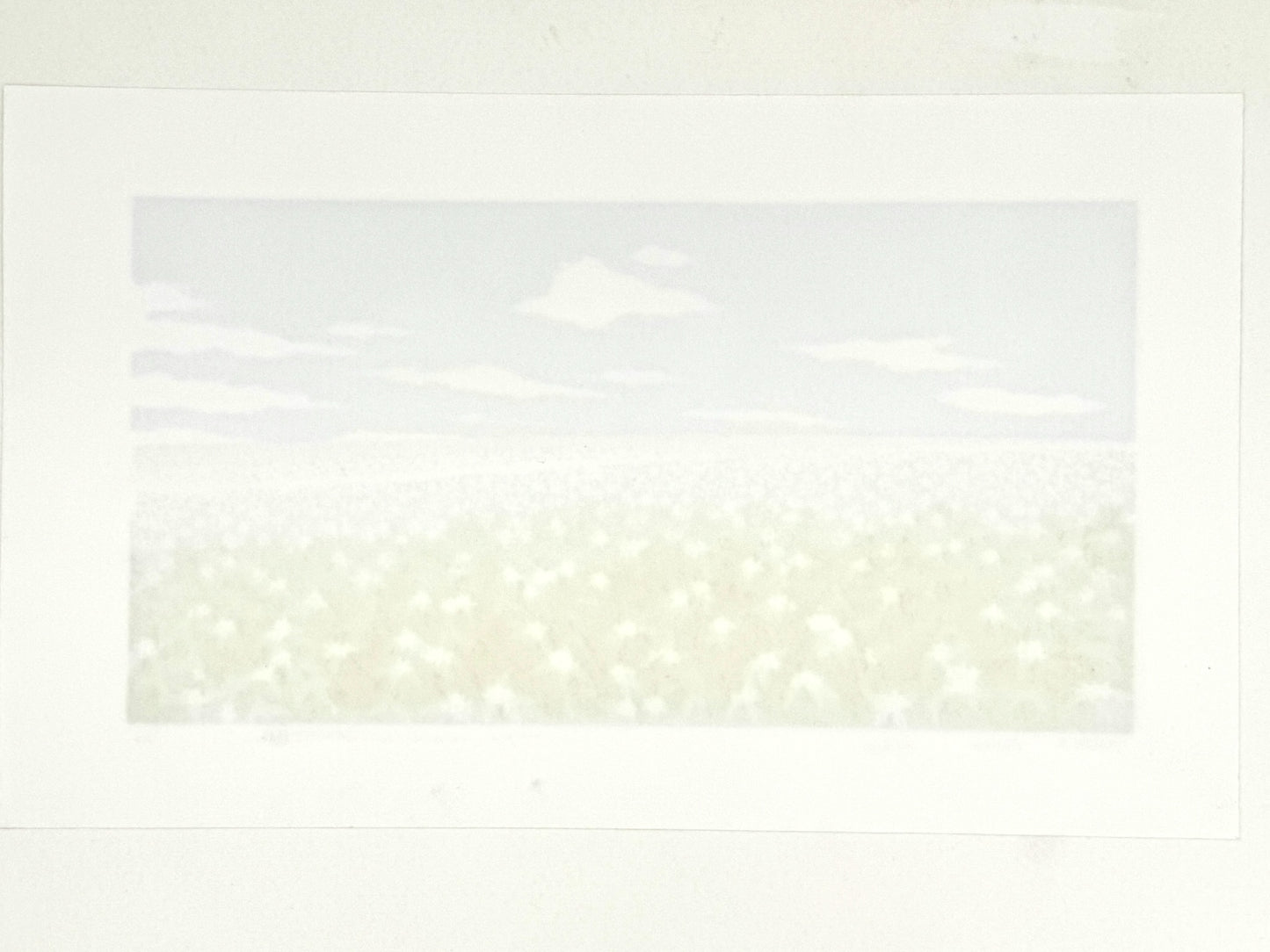 estampe japonaise contemporaine de paysage, champs de pommes de terre en fleur et ciel argenté, dos de l'estampe