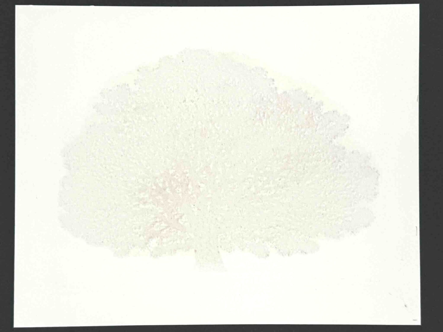 Estampe japonaise contemporaine de Namiki Hajime, Un grand arbre rouge sur fond or, signé et numéroté au crayon, le verso de l'estampe.