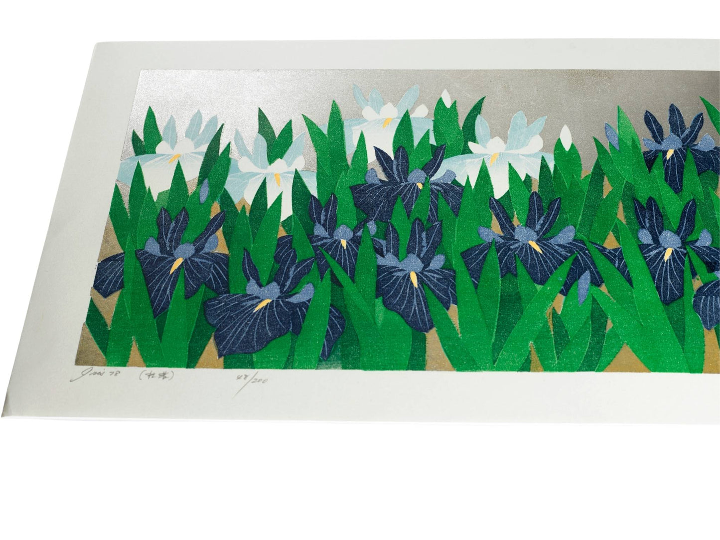 estampe japonaise de Namiki Hajime, jardin d'iris bleu et blanc sur fond argent et or, le reflet du fond vu de profil