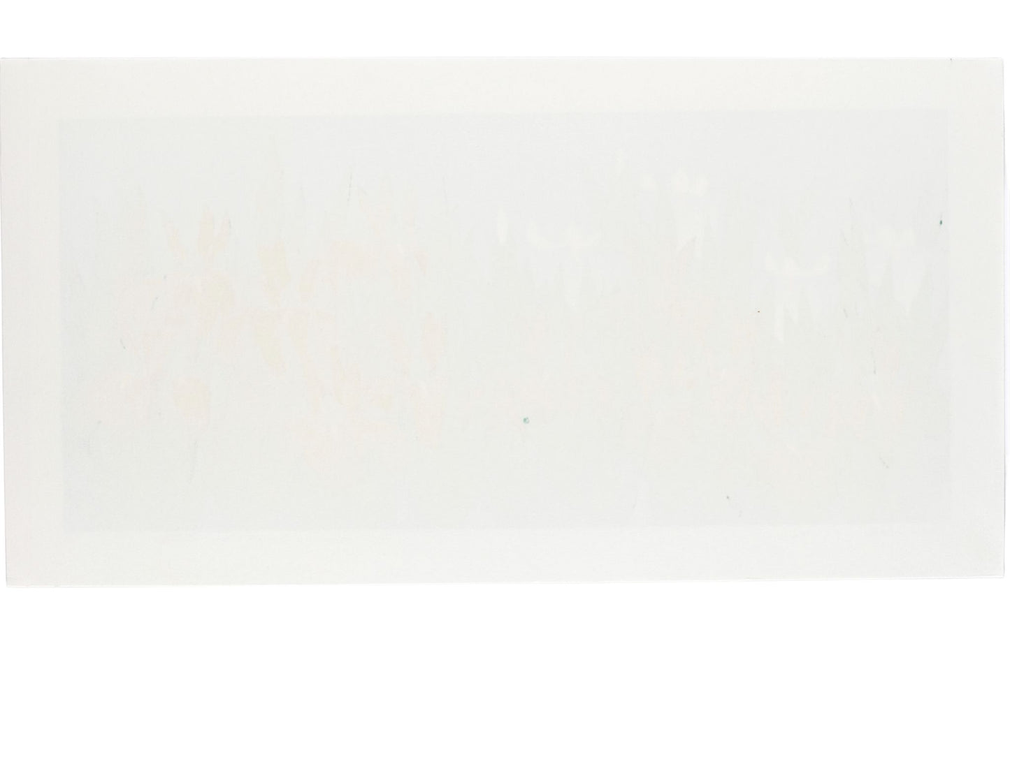 estampe japonaise de Namiki Hajime, jardin d'iris bleu et blanc sur fond argent et or, le verso
