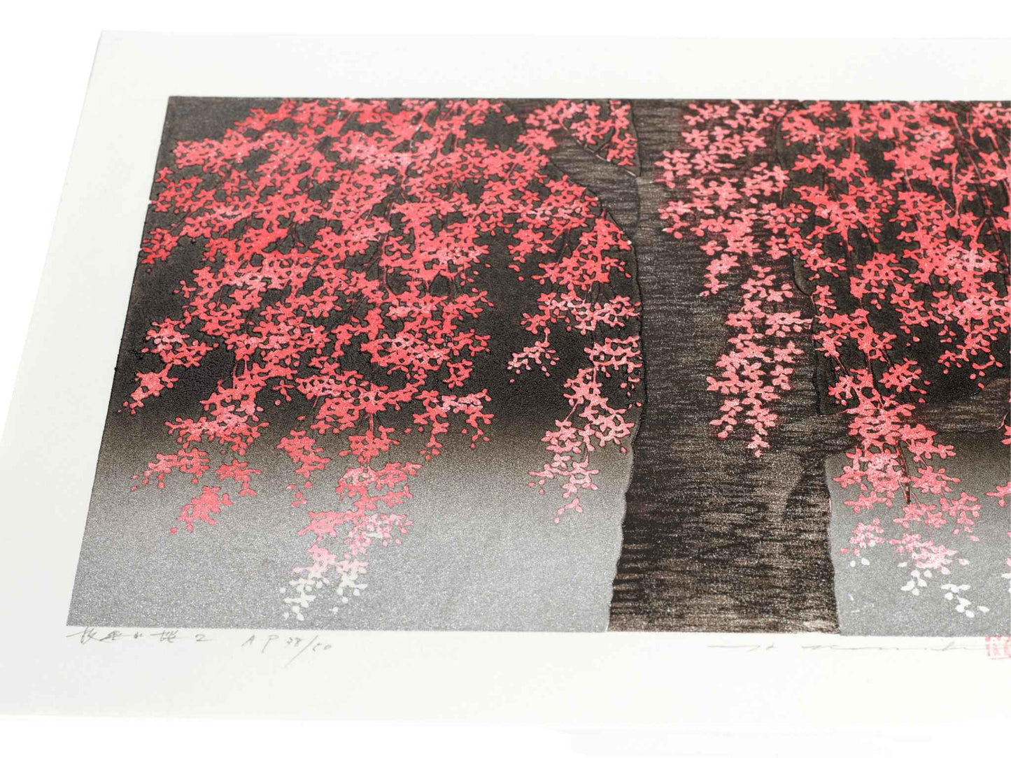 estampe japonaise de Namiki Hajme, un cerisier pleureur en fleurs sur fond noir et argent, vue de profil