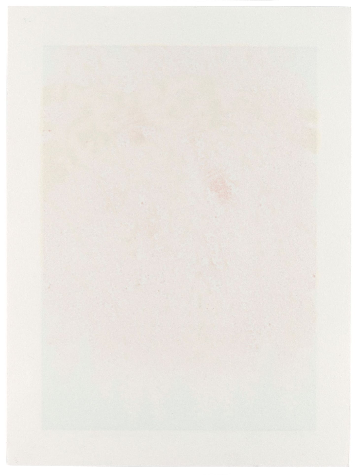 Estampe japonaise de Namiki Hajime, un cerisier pleureur en pleine floraison du rose au blanc, le verso