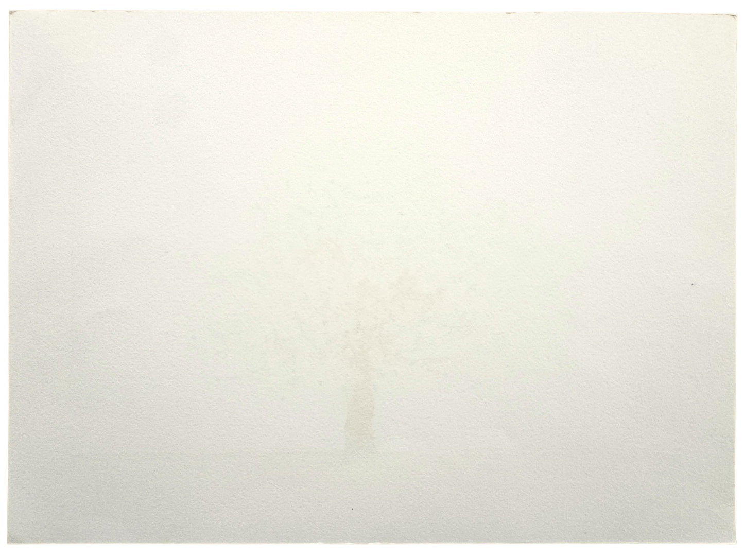 Estampe japonaise de Namiki Hajime représentant un magnolia bleu en fleur sur fond argenté verso