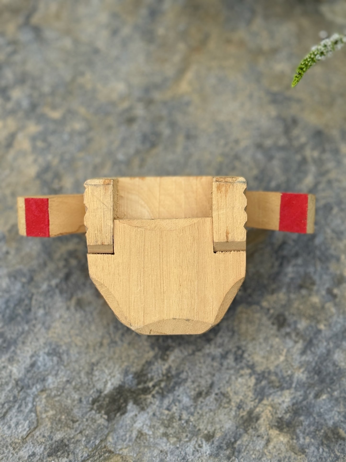 tête de lion kaka vue dessous