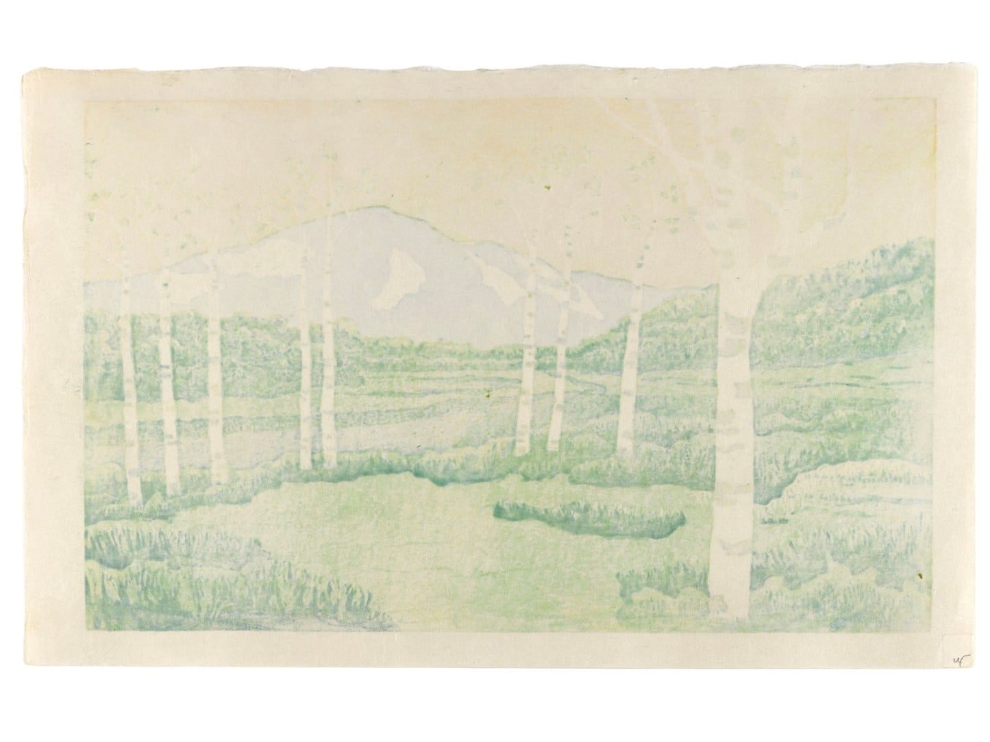 Estampe japonaise contemporaine de Ojima Satoru représentant une forêt de bouleaux et une montagne à Oze. Ciel Jaune, montagne bleue, bouleau blanc et prairie verdoyante. Dos estampe.