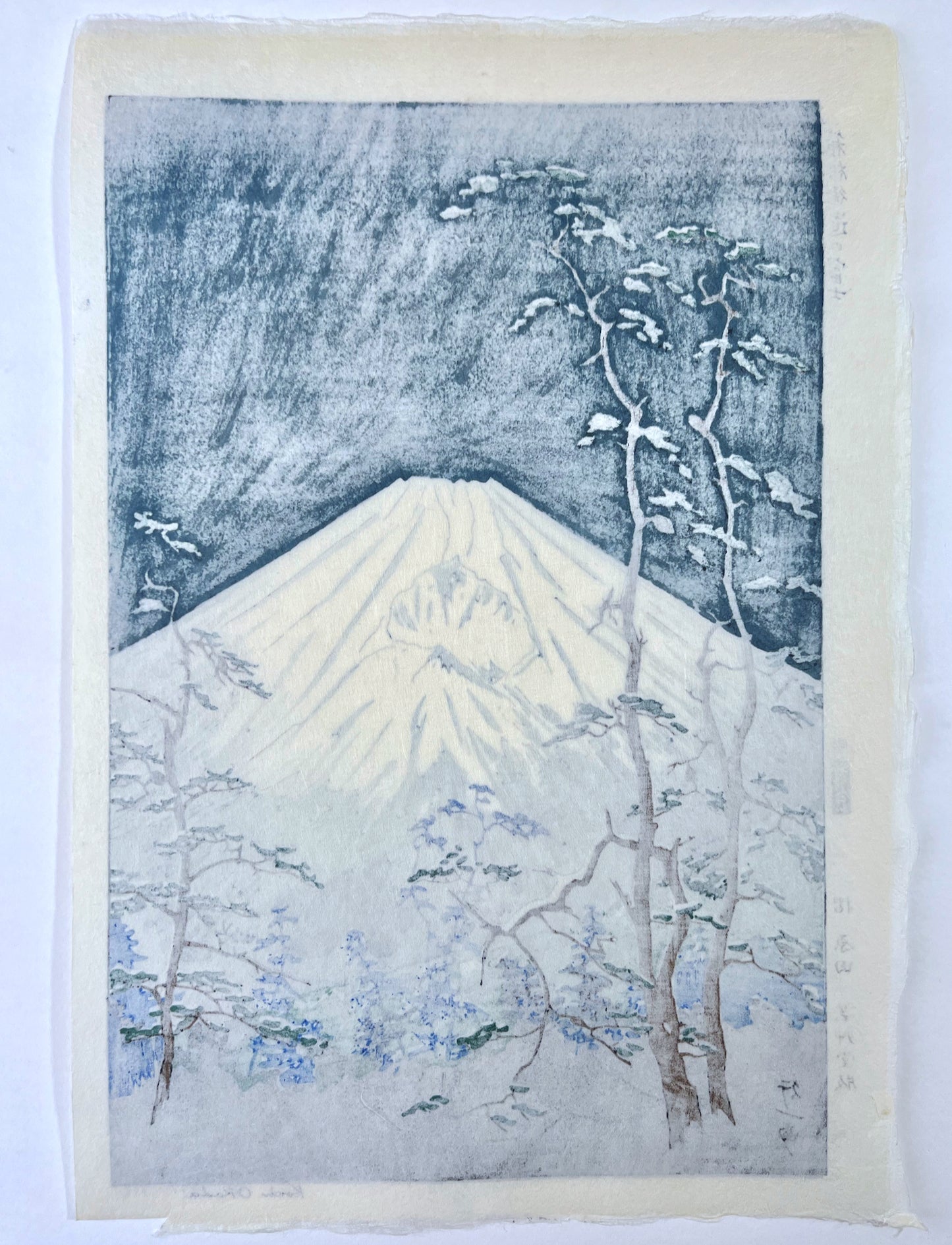 estampe japonaise Mont Fuji blanc dans le gris bleu sombre de la nuit, arbres tortueux au premier plan, le dos de l'estampe