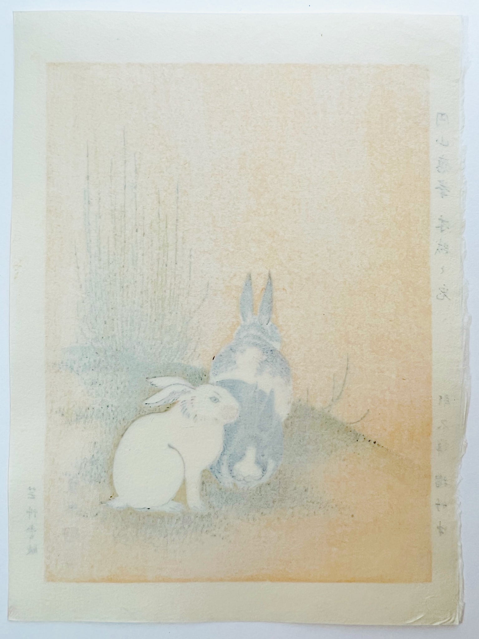 Estampe Japonaise de Okyo Maruyama représentant trois Lapins dans les prêles japonaises, le dos de l'estampe