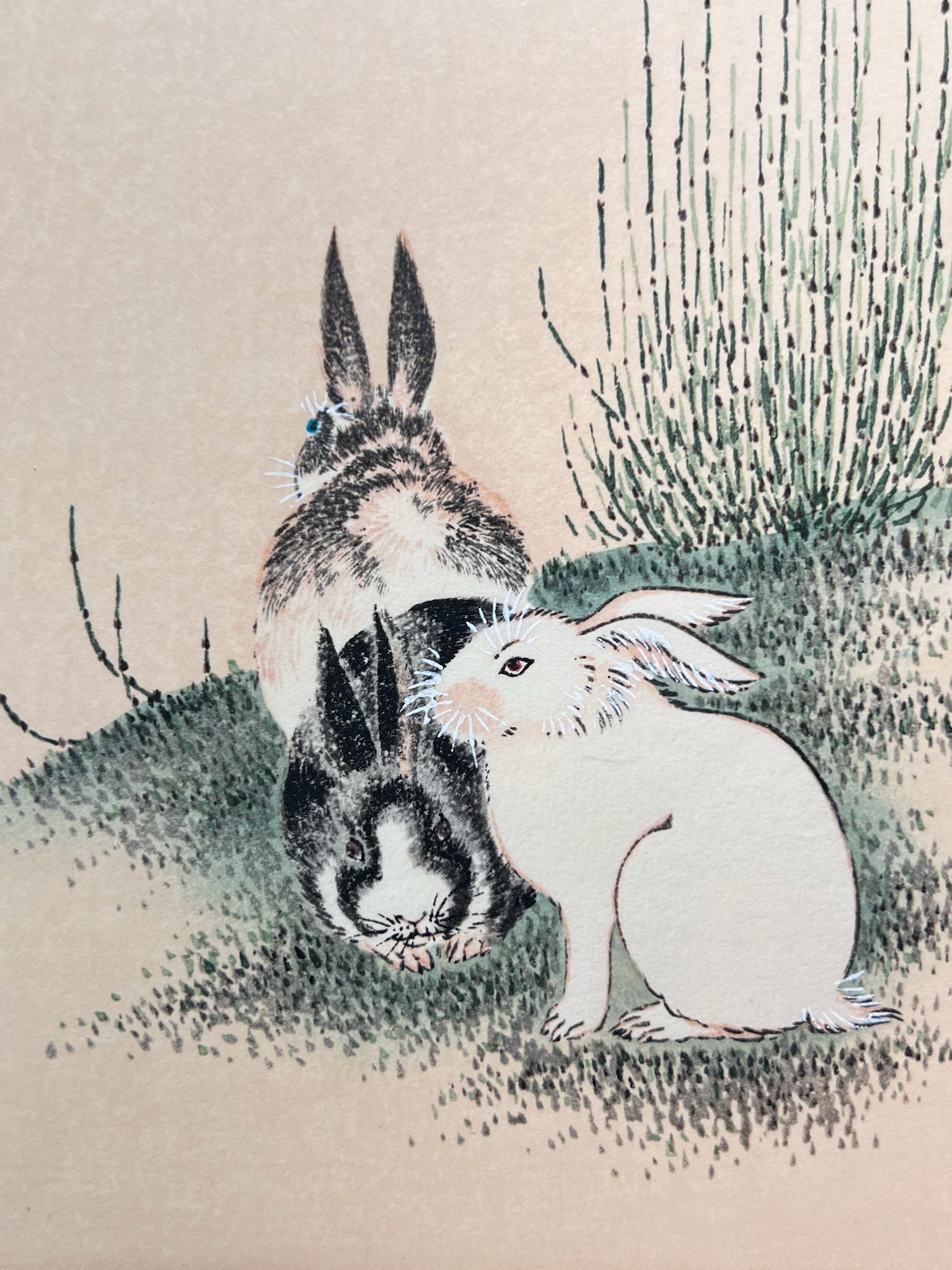 Estampe Japonaise de Okyo Maruyama représentant trois Lapins dans les prêles japonaises un blanc et les deux autres noir et blanc