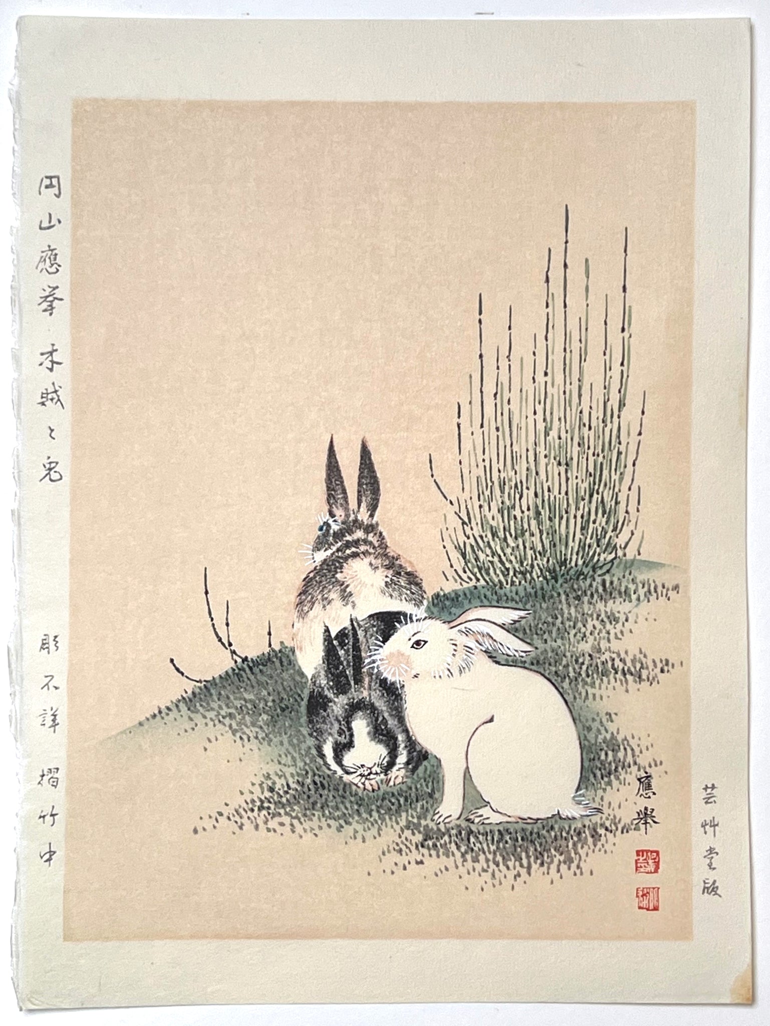Estampe Japonaise de Okyo Maruyama représentant trois Lapins dans les prêles japonaises