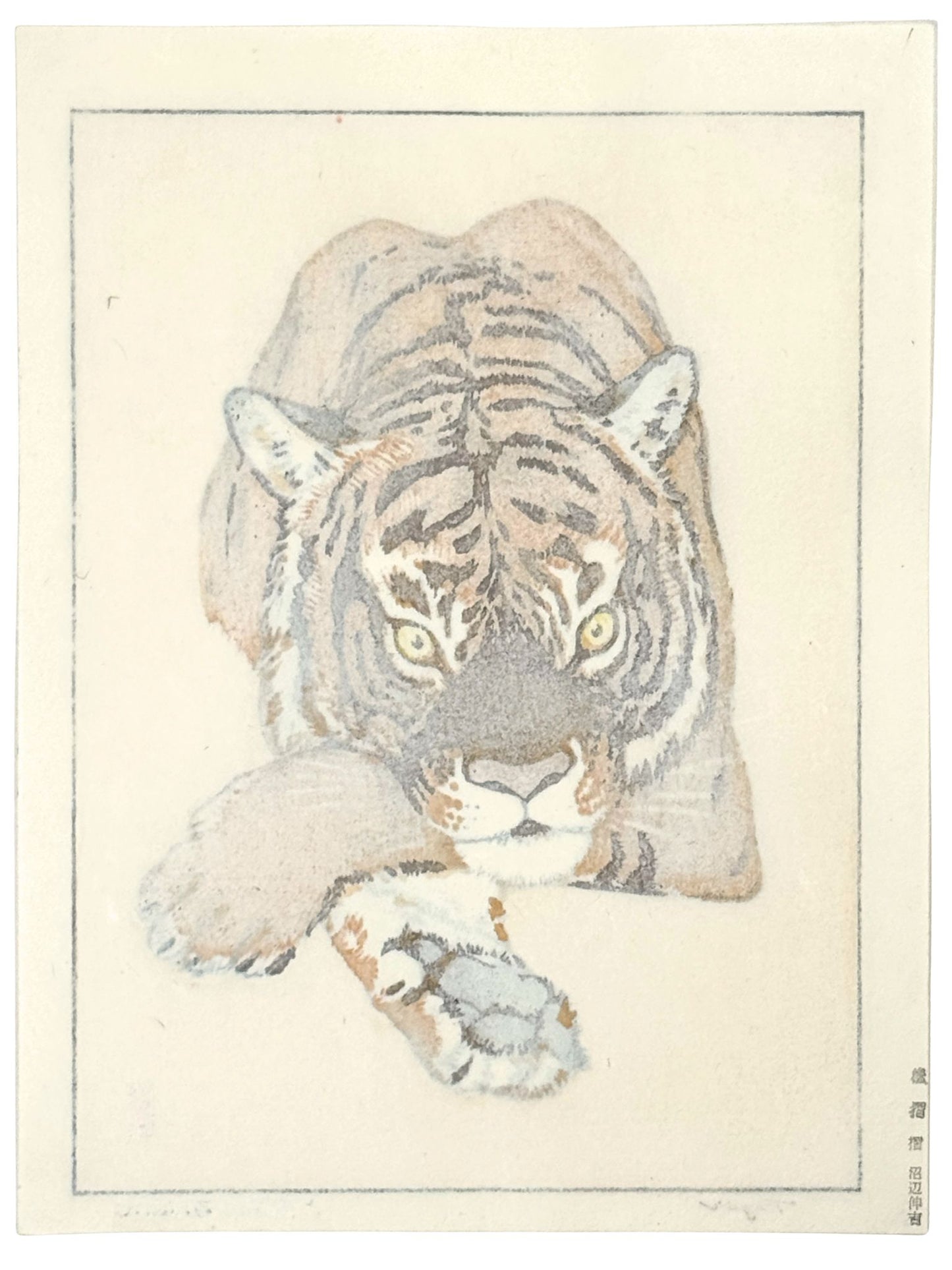 estampe japonaise de Yoshida Toshi, un tigre couché avec regard perçant, le verso de l'estampe