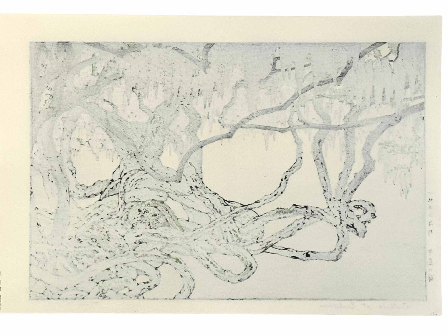 Estampe Japonaise de Yoshida Tôshi représentant les branches noueuses des glycines millénaires du jardin Tōka-en , le verso