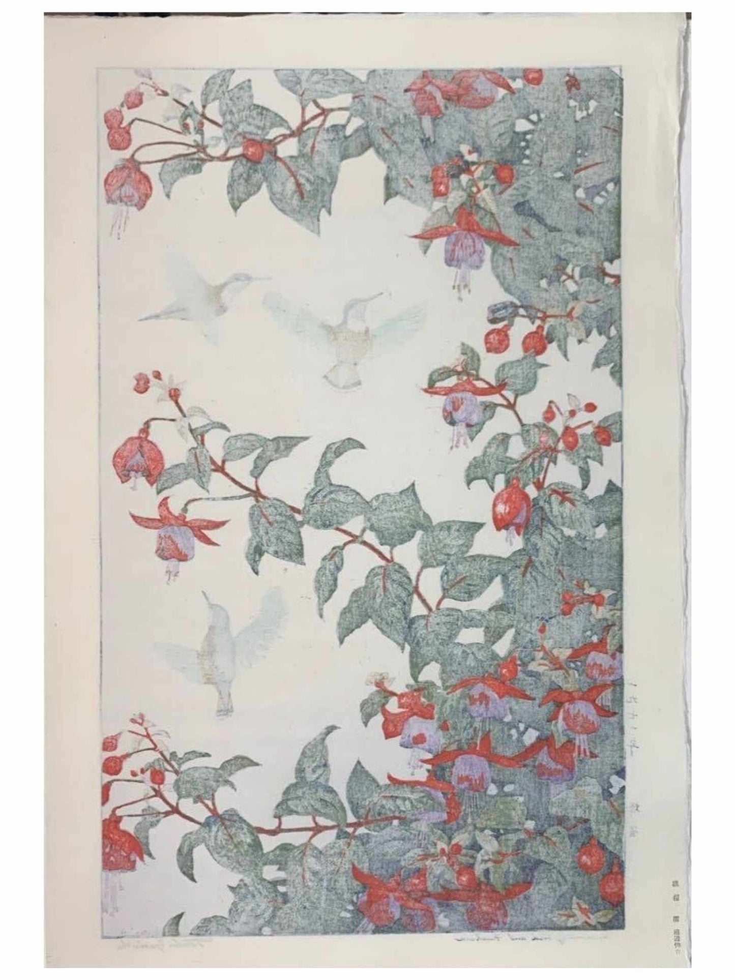 Estampe Japonaise Yoshida Toshi Colibris et Fushias dos