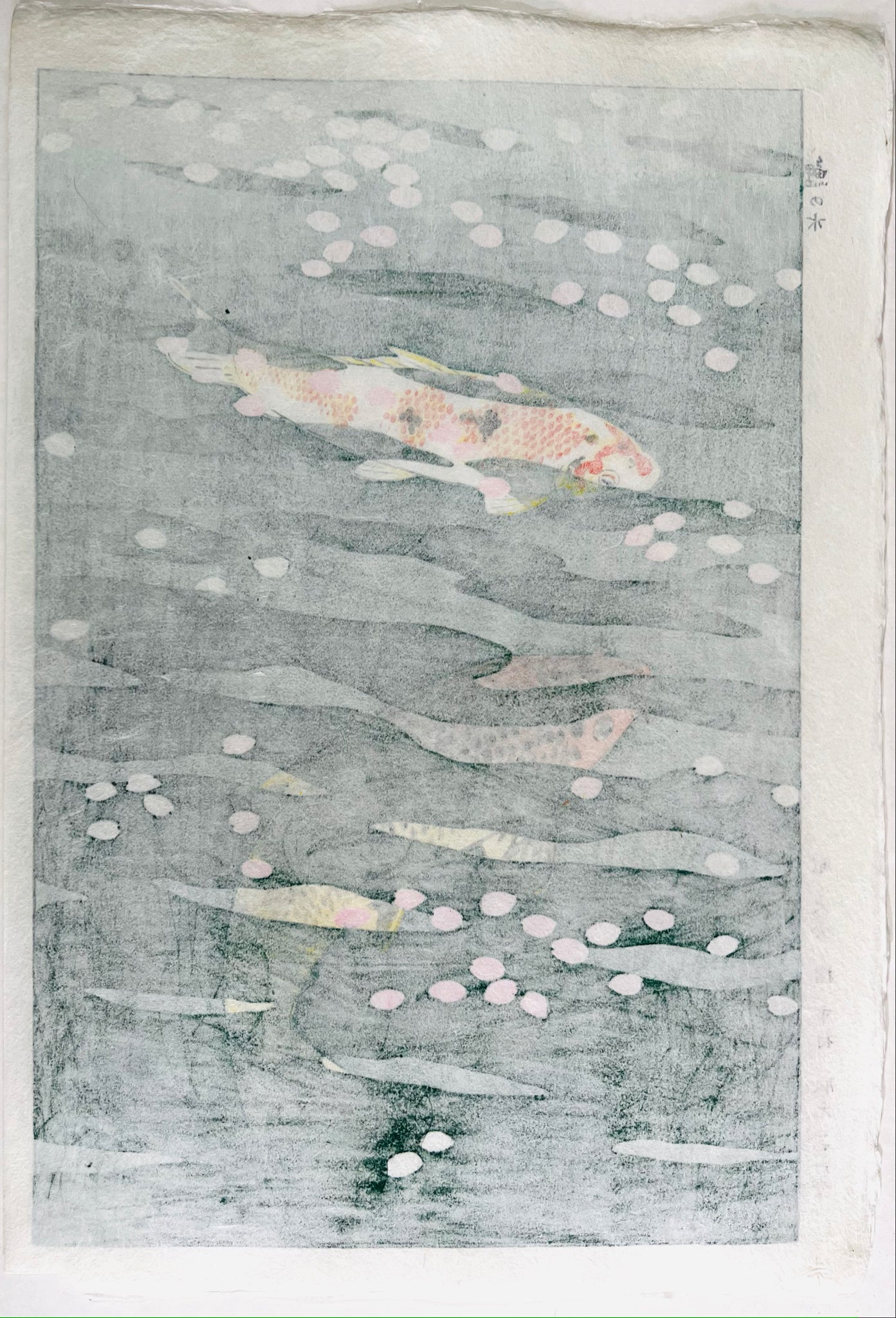 estampe japonaise deux carpes Koi sous l'eau des pétales de fleurs de cerisiers flottent à la surface, dos de l'estampe