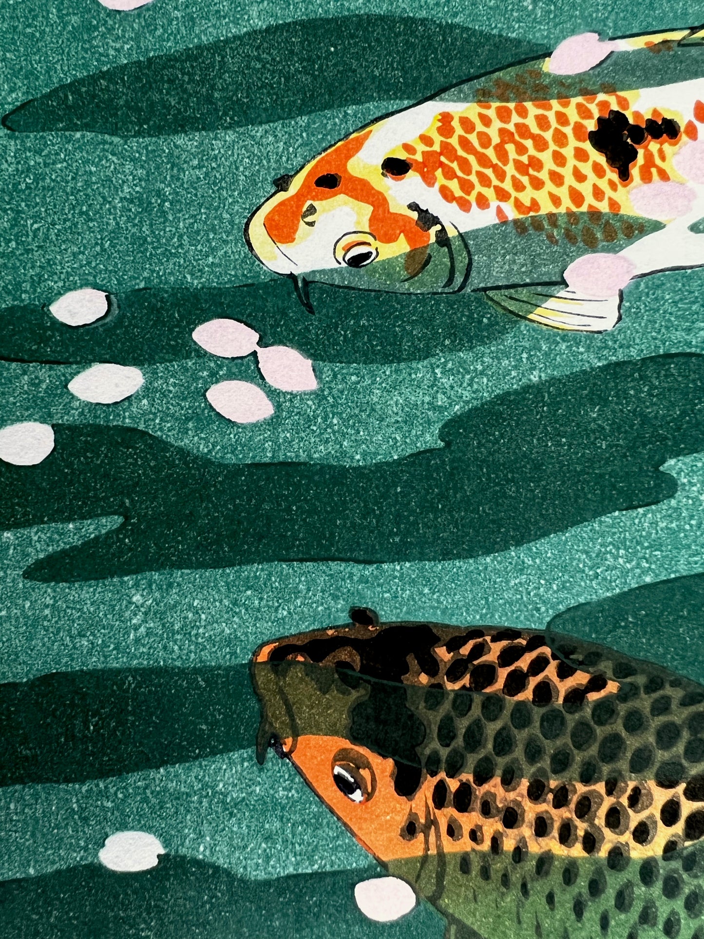 estampe japonaise deux carpes Koi sous l'eau des pétales de fleurs de cerisiers flottent à la surface, la tête des carpes